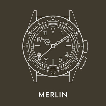 Lorier Merlin owner's manual button - illustrated case diagram