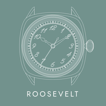 Lorier Roosevelt owner's manual button - illustrated case diagram